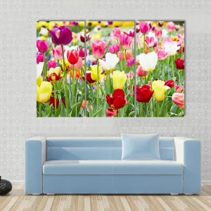 Blooming Tulips Canvas Wall Art