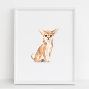 Chihuahua