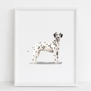 Dalmatian