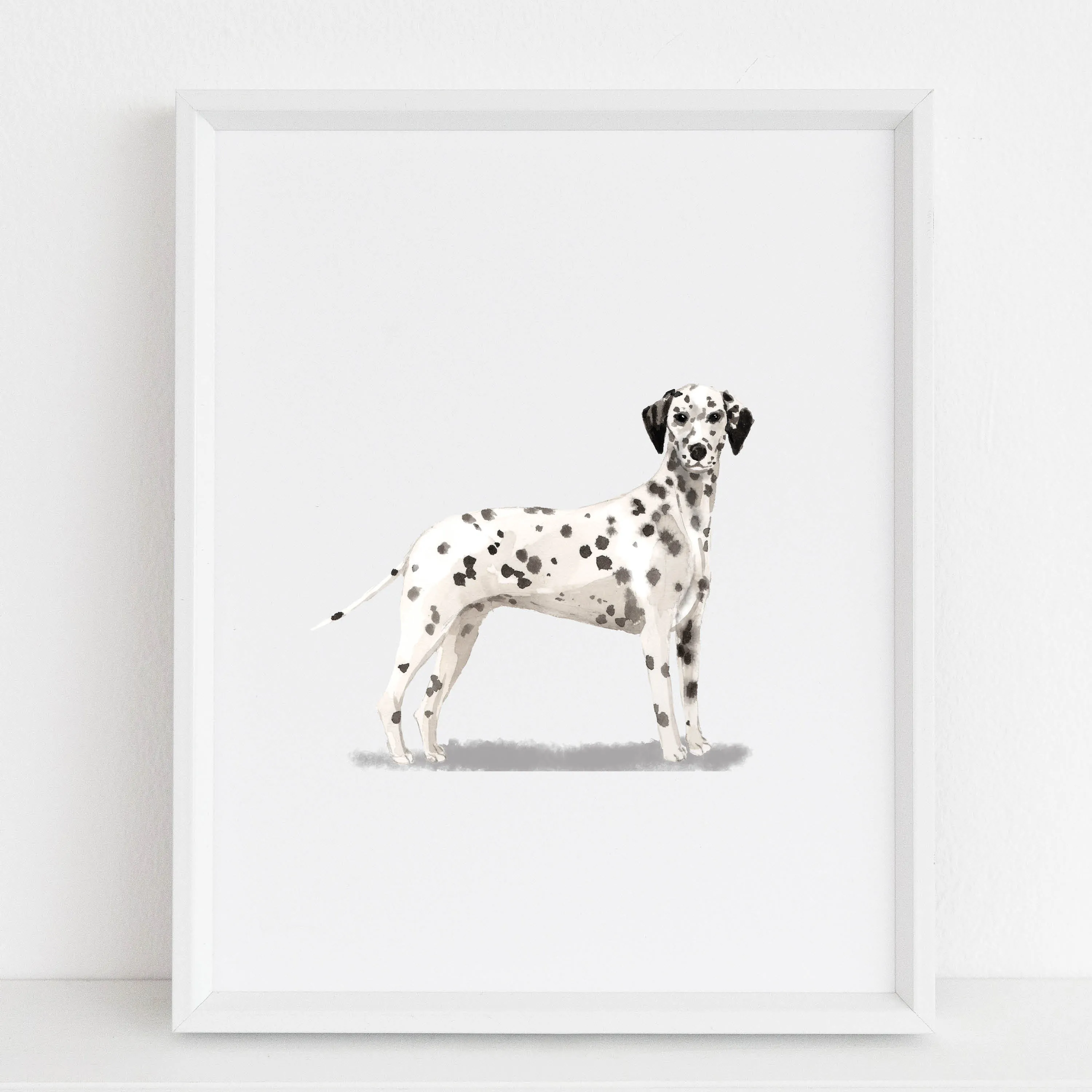 Dalmatian