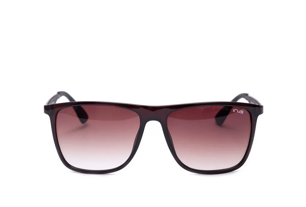 Irus 1076 Sunglass